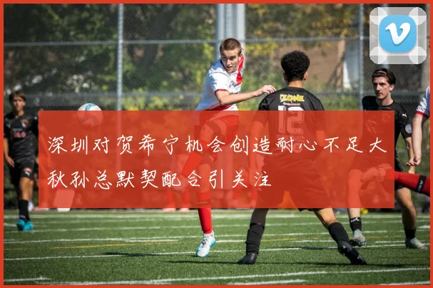 深圳对贺希宁机会创造耐心不足大秋孙总默契配合引关注